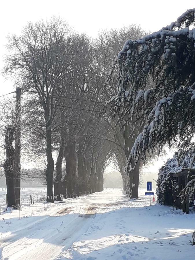 Hauwaertshoeve Beernem Zewnętrze zdjęcie